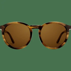 Daniel Wellington Solglasögon<Bio-Acetate Arch Brown Demi