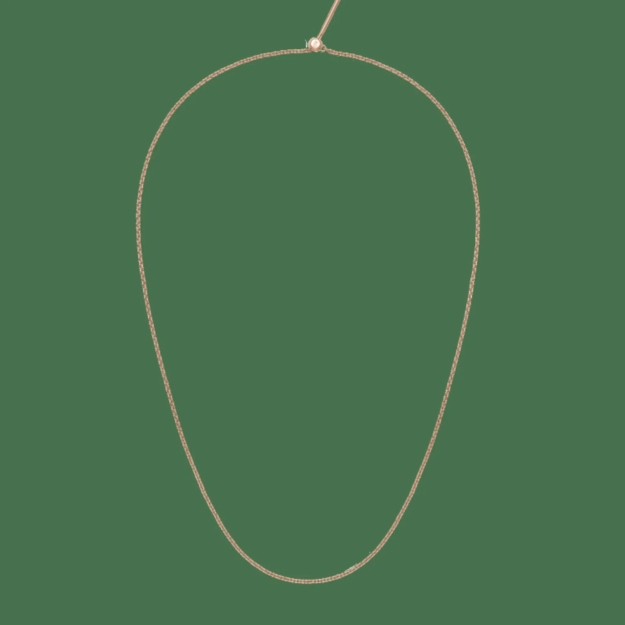 Daniel Wellington Halsband | Berlocker<Charms Chain Necklace RG Rose Gold