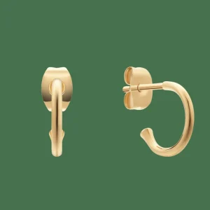Daniel Wellington Örhängen | Berlocker<Charms Earrings Gold