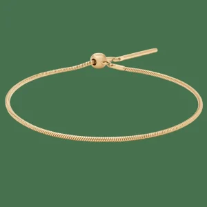 Daniel Wellington Armband<Charms Snake Bracelet G Gold