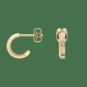 Daniel Wellington Örhängen<Classic Lumine Gold