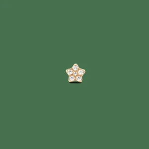 Daniel Wellington Örhängen<Crystal Star Stud Gold