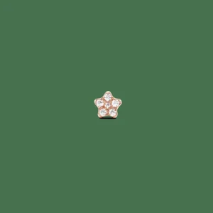 Daniel Wellington Örhängen<Crystal Star Stud Rose Gold
