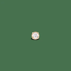 Daniel Wellington Örhängen<Crystal Stud Gold