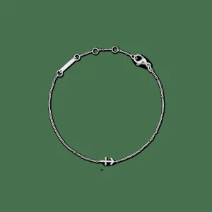 Daniel Wellington Armband<Crystal Zodiac Chain Bracelet Silver