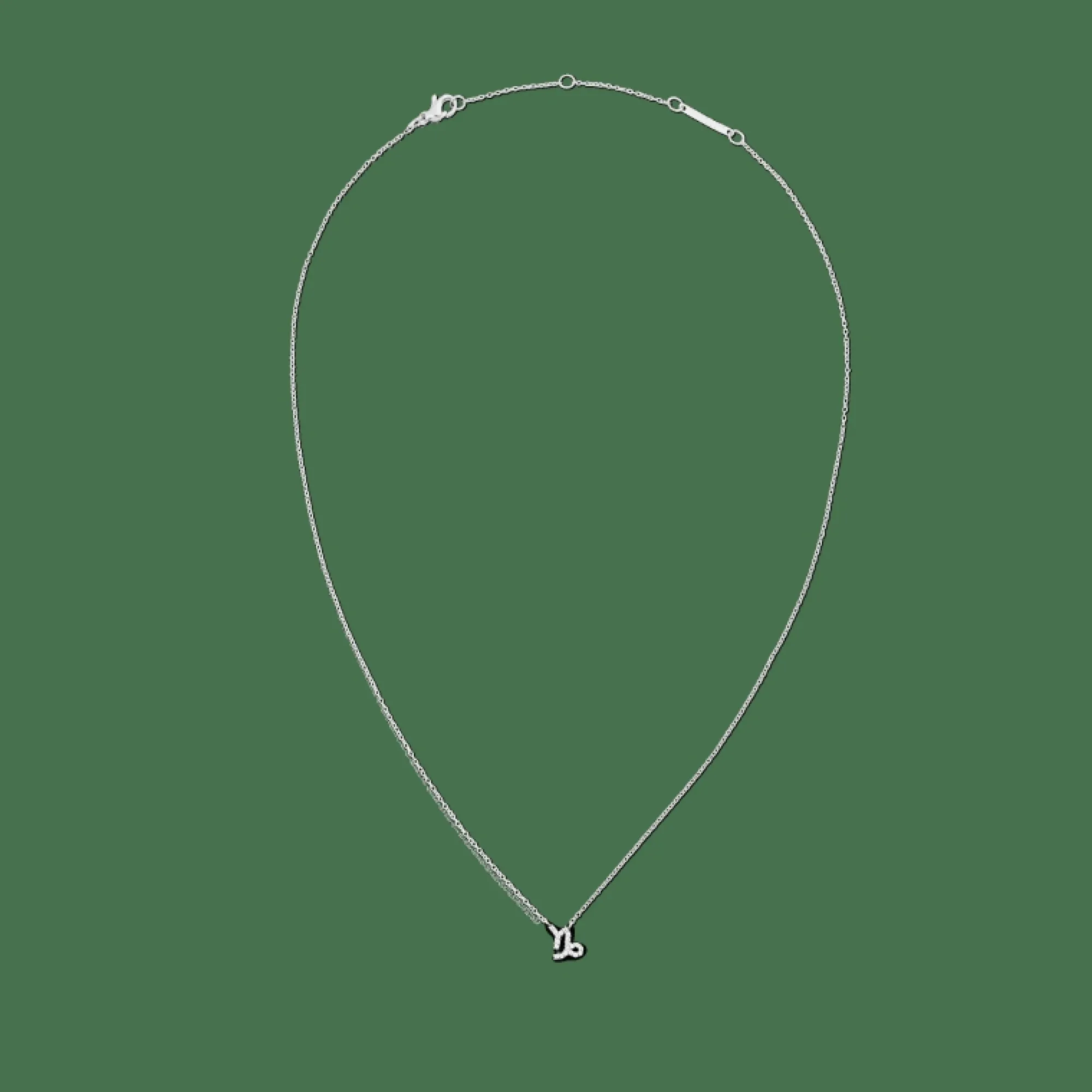Daniel Wellington Halsband<Crystal Zodiac Chain Necklace Silver