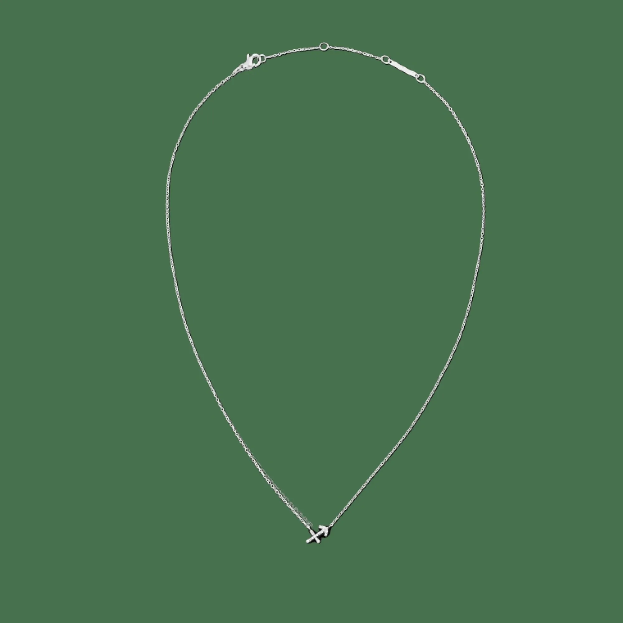 Daniel Wellington Halsband<Crystal Zodiac Chain Necklace Silver