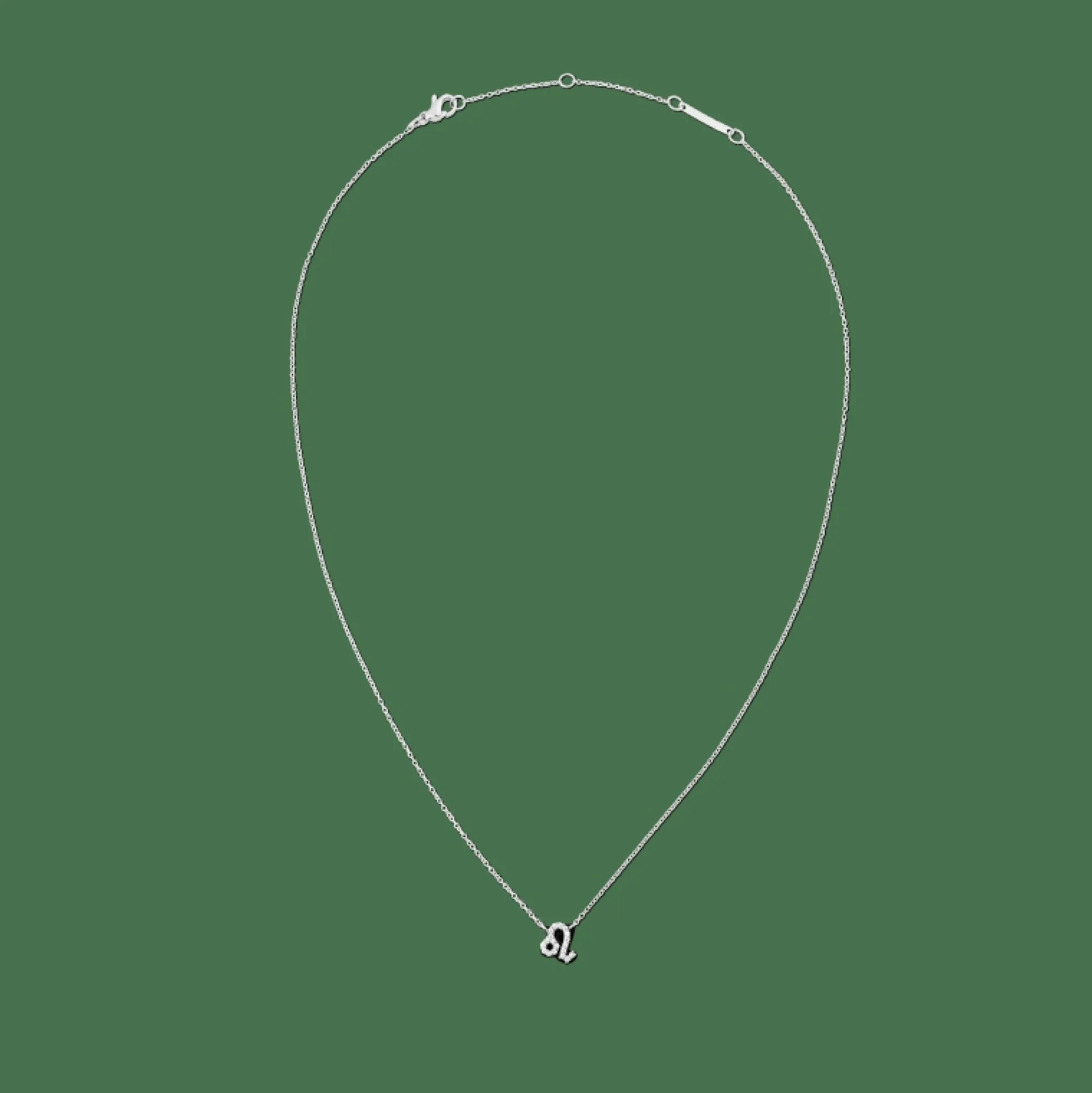 Daniel Wellington Halsband<Crystal Zodiac Chain Necklace Silver