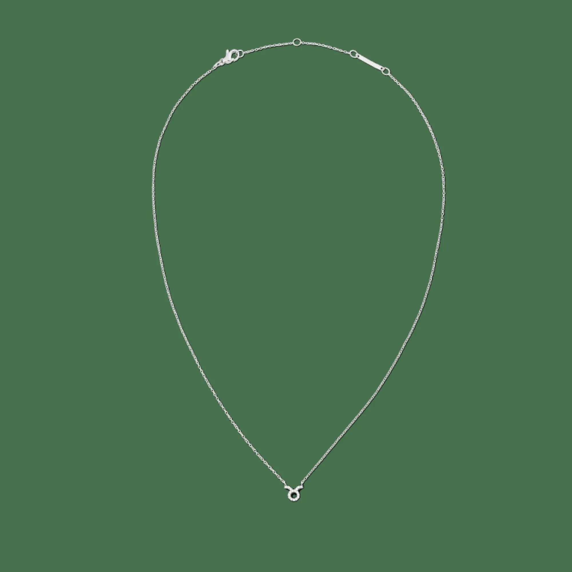 Daniel Wellington Halsband<Crystal Zodiac Chain Necklace Silver