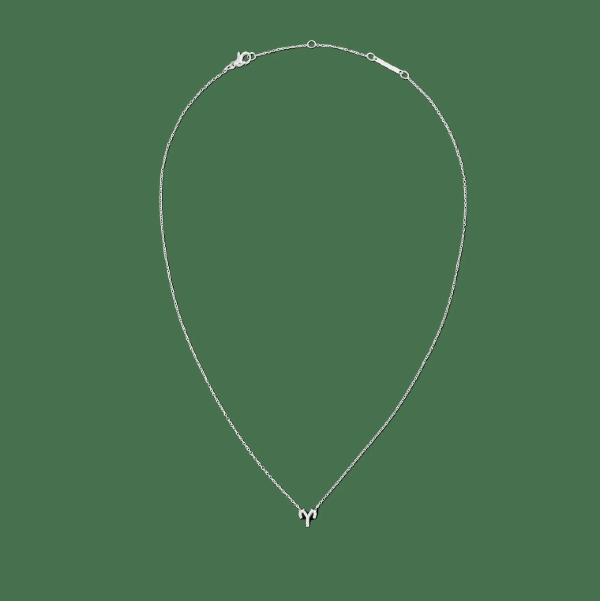 Daniel Wellington Halsband<Crystal Zodiac Chain Necklace Silver