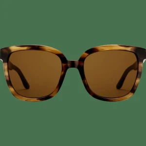 Daniel Wellington Solglasögon<Grande Bio-Acetate Brown Demi