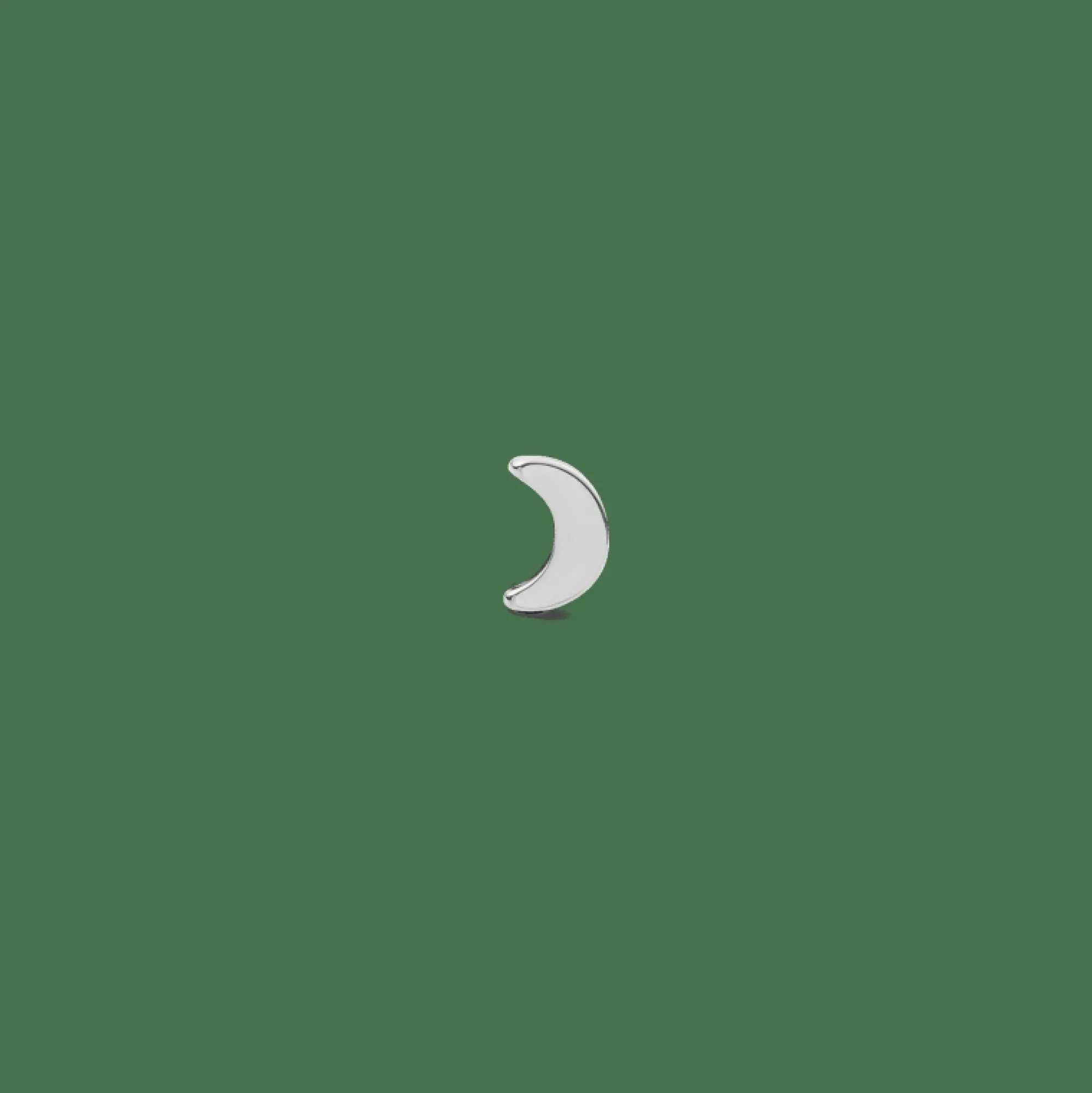 Daniel Wellington Örhängen<Moon Stud Silver