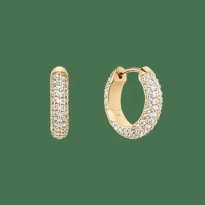 Daniel Wellington Örhängen<Pavé Crystal Earrings Gold