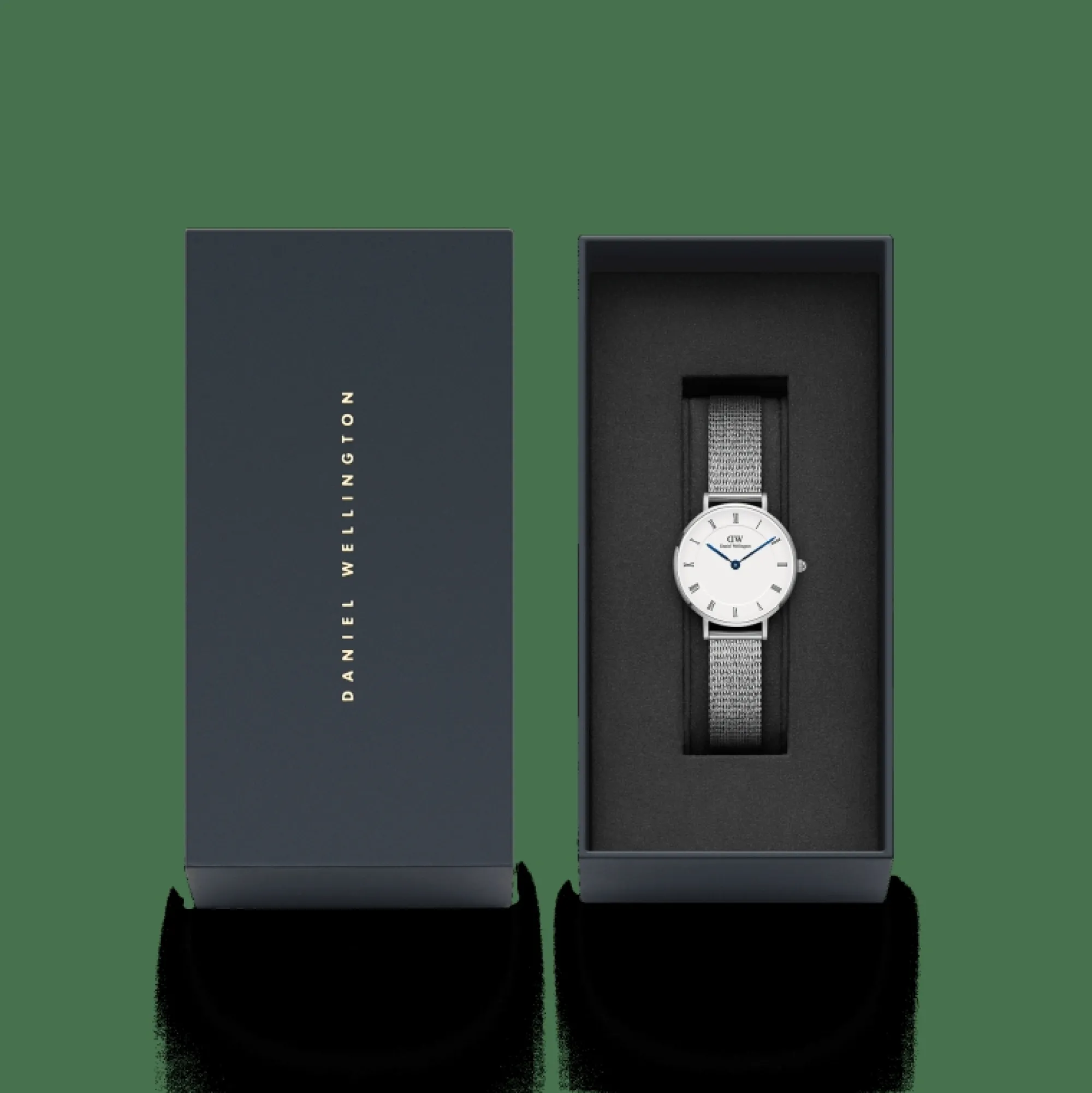 Daniel Wellington Damklockor<Petite Roman Numerals Sterling Silver